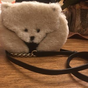 Cute teddy bear bag.
